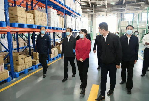 王莉霞強調 強化一對一精準服務，全面推動綜合保稅區(qū)高質量發(fā)展